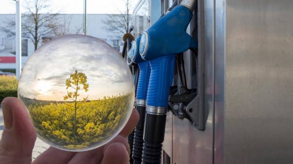 Инновационное топливо вместо бензина: возможно, в будущем станет возможным заправка авто от дерева